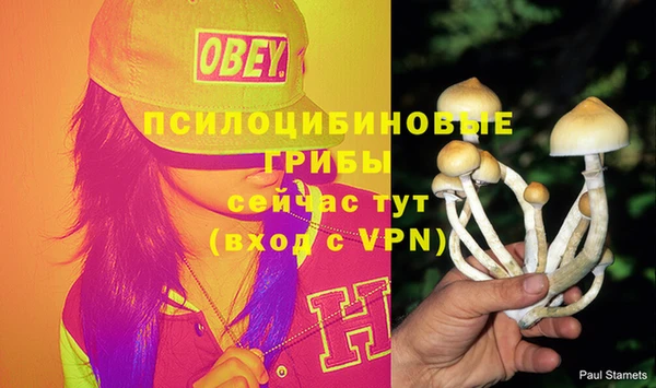 ECSTASY Арсеньев
