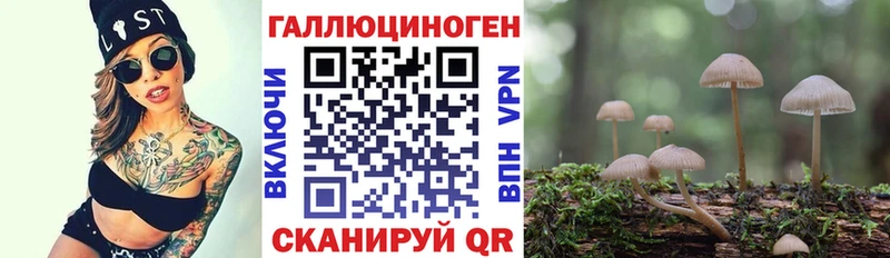 Псилоцибиновые грибы Psilocybine cubensis  Калязин 